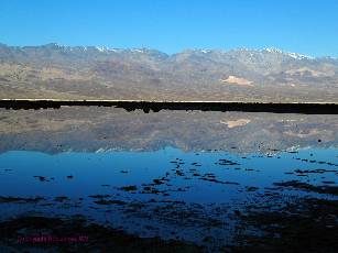 Death-Valley-2020-day7-3  salt reflection  w.jpg (266028 bytes)